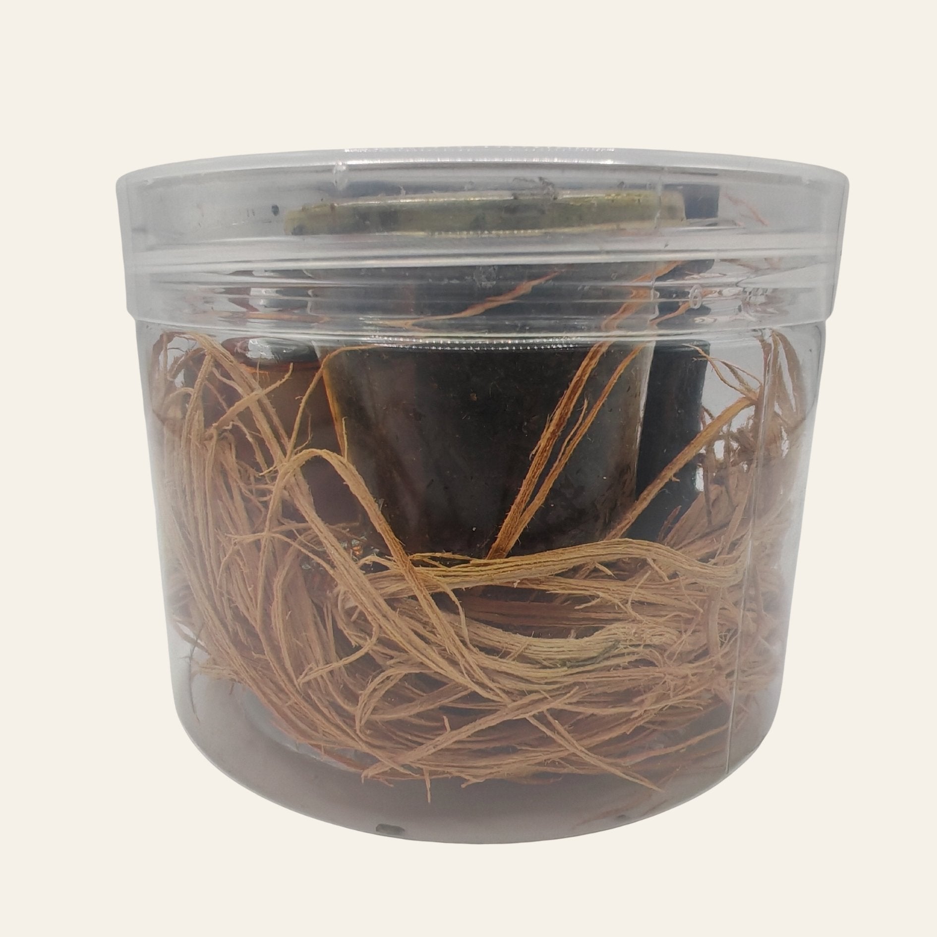 Savon de chance rapide - ALAJEYA